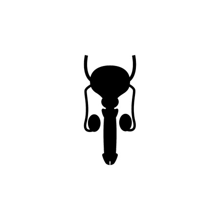 Icon of male organ, element of body parts icon. Signs and symbols collection icon for websites, web design, mobile app on white background.のイラスト素材