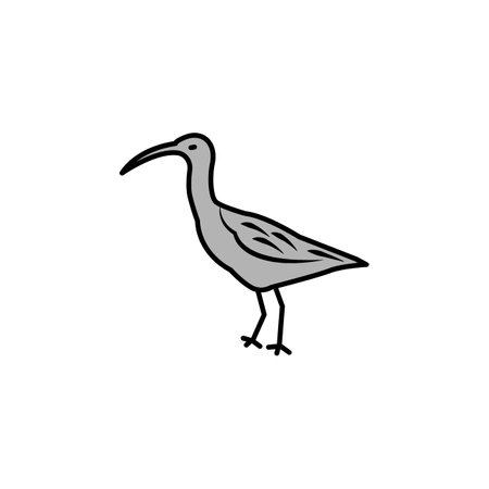 curlew line icon. signs and symbols can be used for web, logo, mobile app, ui, ux colored iconのイラスト素材