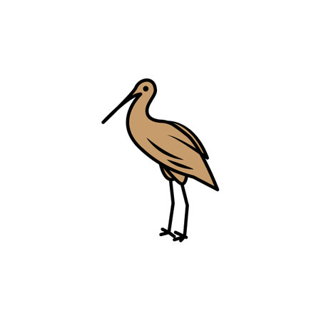 ibis line icon. signs and symbols can be used for web, logo, mobile app, ui, ux colored iconのイラスト素材