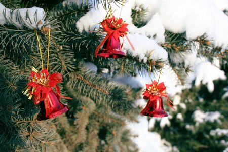 Three red Christmas bells hanging on the branch of Christmas treeの写真素材