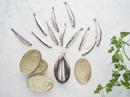 fresh sardines and fresh parsley next to metalic tins, concept of fish canningの写真素材