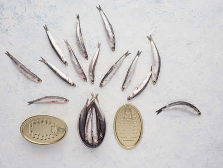 small fresh fish and canned fish. concept of fish canningの写真素材