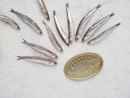 fresh sardines placed in composition towards canning cans. concept of fish canning
