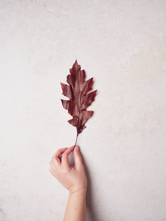 hand holding a red tree leaf on a pink wall background