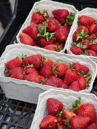 fresh strawberries arranged in cardboard box ready for sale in farmer marketの写真素材