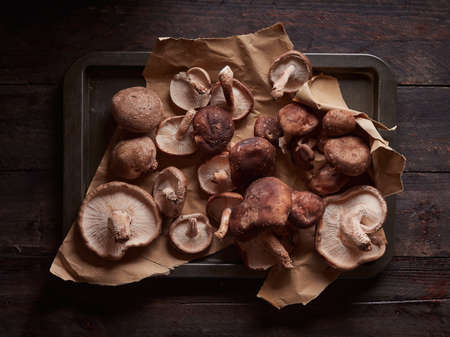 fresh whole shiitake mushrooms, lentinula edoes, different sizes and shapes on a brown craft paper on a metal tray on a dark wooden table, top viewの写真素材