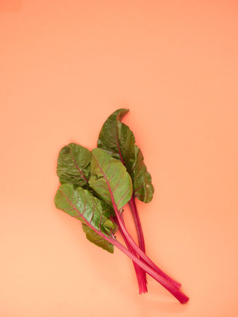 some fresh chard leaves with red stems, on pink background. View from above with copy space.