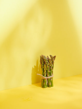 bunch of standing green asparagus tied with string in vivid yellow background with harsh light and shadows.の写真素材