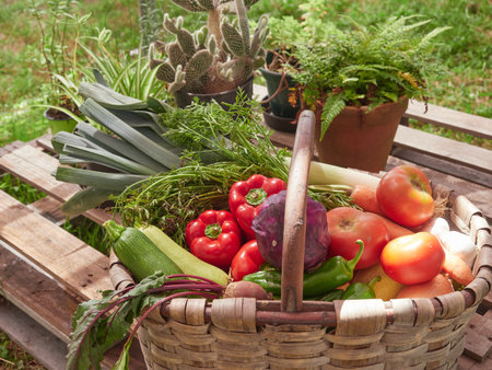Concept of harvesting in the garden. Wicker basket with assorted vegetables: tomato, bell pepper, cabbage, zucchini and leek.の写真素材