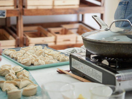 homemade dumplings of different shapes in a tray ready to cook in frying panの写真素材