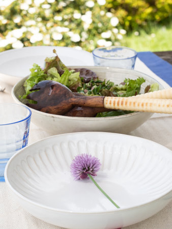 Healthy summer salad. Outdoor meals conceptの写真素材