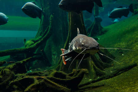 BARCELONA, SPAIN - OCTOBER 9, 2015: Exhibition in Museum of Science & Industryのeditorial素材