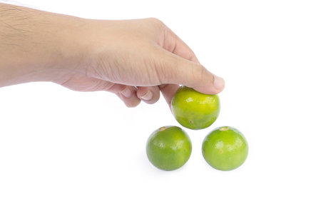 Hand pick green limes on white background