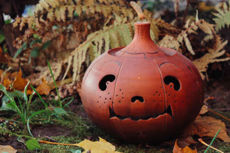 Haloween scary pumpkin photo pictureの写真素材