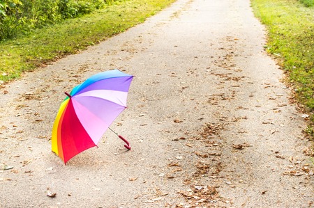 Bright multicolored umbrella in a park among dry leavesの写真素材