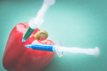Two syringes inject pepper. GMO concept products.の写真素材