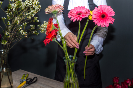 Female florist making a bouquet of gerberas in a flower shopの写真素材
