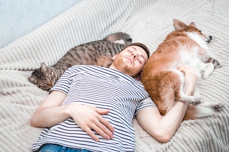 young man, a cat and a dog all sleep together on a bed.の写真素材