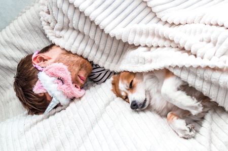 Closeup portrait of a young man in a pink mask sleeping in a bed under a rug with his dogの写真素材