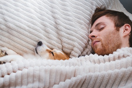 owner sleeps with his dog in bed under a blanket. White background. Concept weekend. Concept of sleep and restの写真素材