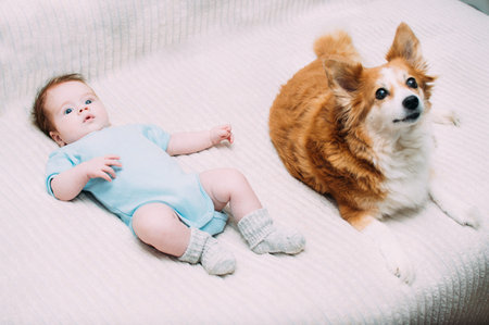 Closeup portrait of a small child and red dog. Infant portrait. Funny baby.