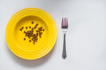 Yellow plate with dry food. Nearby fork and spoon. Dog food conceptの写真素材