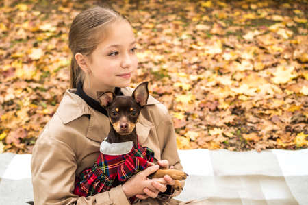 Teenage girl holding a small dog in her arms against a background of yellow autumn foliageの写真素材