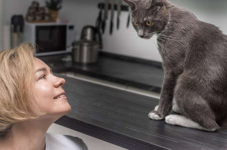 Portrait of a woman and a gray cat close upの写真素材