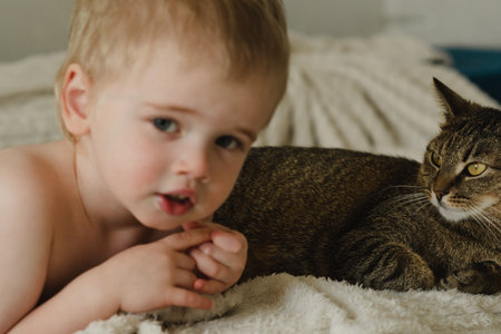 Little boy playing with a cat on the bedの写真素材