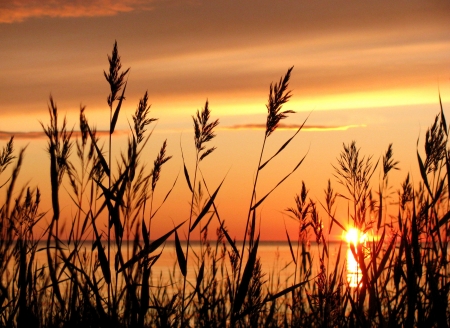 Sunset and the White Sea in summer season  Russia の写真素材