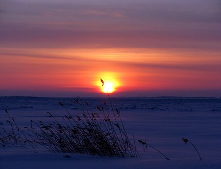 Sunset and the White Sea in winter  Russia  の写真素材