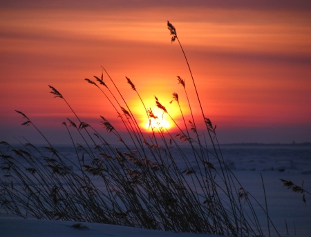 Sunset and the White Sea in winter  Russia  の写真素材