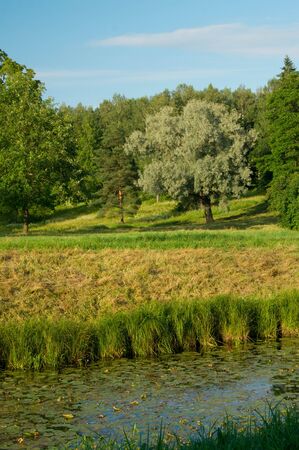 Walking through the Park of Pavlovsk, Russiaの写真素材