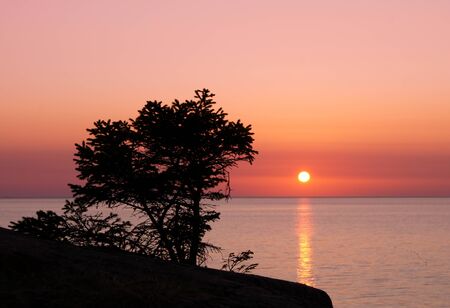 Sunset and the White Sea in summer season  Russia の写真素材