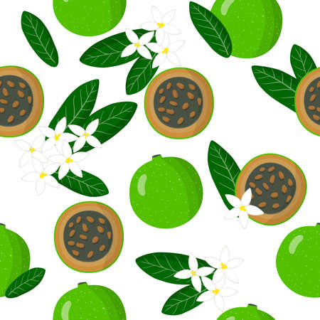 Vector cartoon seamless pattern with Aliberia exotic fruits, flowers and leafs on white background for web, print, cloth texture or wallpaperのイラスト素材