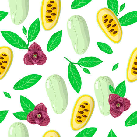 Vector cartoon seamless pattern with Asimina triloba or Papaw exotic fruits, flowers and leafs on white background for web, print, cloth texture or wallpaperのイラスト素材