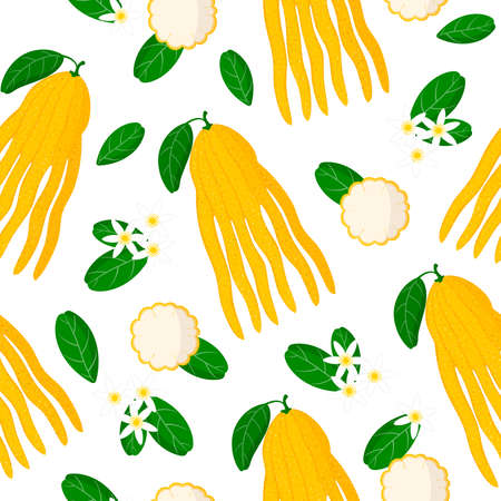 Vector cartoon seamless pattern with Citrus medica sarcodactylis or Buddha's hand exotic fruits, flowers and leafs on white background for web, print, cloth texture or wallpaperのイラスト素材