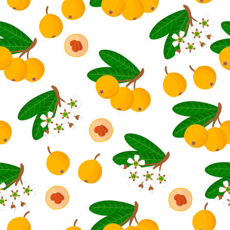 Vector cartoon seamless pattern with Eriobotrya japonica or Medlar exotic fruits, flowers and leafs on white background for web, print, cloth texture or wallpaperのイラスト素材