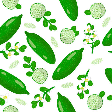 Vector cartoon seamless pattern with Citrus australasica or Australian finger lime exotic fruits, flowers and leafs on white background for web, print, cloth texture or wallpaperのイラスト素材