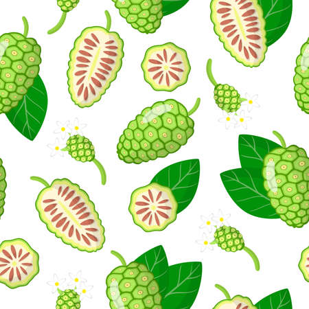 Vector cartoon seamless pattern with Morinda citrifolia or noni exotic fruits, flowers and leafs on white background for web, print, cloth texture or wallpaperのイラスト素材