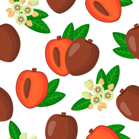 Vector cartoon seamless pattern with Pouteria sapota or Sapota exotic fruits, flowers and leafs on white background for web, print, cloth texture or wallpaperのイラスト素材