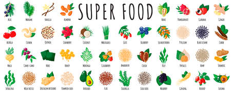Large healthy super food set as acai, quinoa, goji, chia, maca, spirulina, mulberry, cocoa, sesame, turmeric. Natural vitamin antioxidant detox food collection. Vector cartoon isolated illustration.のイラスト素材