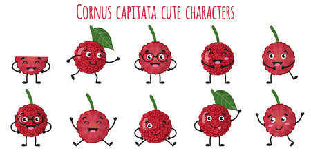 Cornus capitata fruit cute funny cheerful characters with different poses and emotions. Natural vitamin antioxidant detox food collection. Vector cartoon isolated illustration. Children concept.のイラスト素材