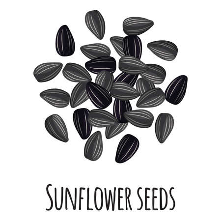 Sunflower seeds for template farmer market design, label and packing. Natural energy protein organic super food. Vector cartoon isolated illustration.のイラスト素材