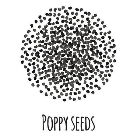 Poppy seeds for template farmer market design, label and packing. Natural energy protein organic super food. Vector cartoon isolated illustration.のイラスト素材