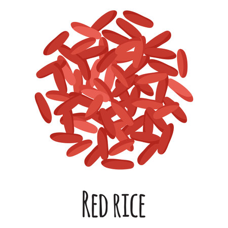 Red rice for template farmer market design, label and packing. Natural energy protein organic super food. Vector cartoon isolated illustration.のイラスト素材