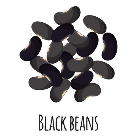 Black beans for template farmer market design, label and packing. Natural energy protein organic super food. Vector cartoon isolated illustration.のイラスト素材