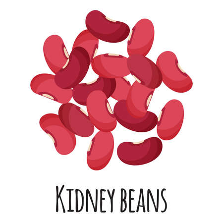 Kidney beans for template farmer market design, label and packing. Natural energy protein organic super food. Vector cartoon isolated illustration.のイラスト素材