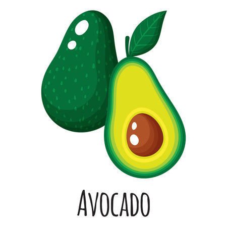 Avocado superfood fruit for template farmer market design, label and packing. Natural energy protein...