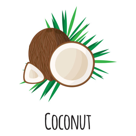 Coconut superfood fruit for template farmer market design, label and packing. Natural energy protein...